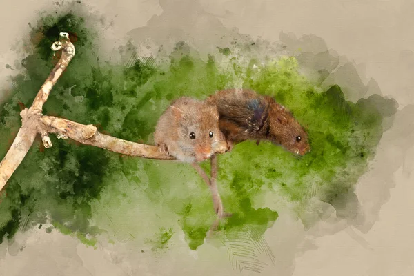 Digital Watercolor Painting Cute Harvest Mice Micromys Minutus Wooden Stick — Stock Photo, Image