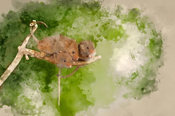 Cyfrowe Malowanie Akwarelą Cute Myszy Żniwa Minutus Drewnianym Kiju — Zdjęcie stockowe