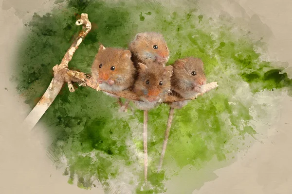Digital Watercolor Painting Cute Harvest Mice Micromys Minutus Wooden Stick — Stock Photo, Image