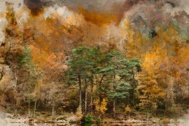 Digital watercolor painting of Stunning vibrant Autumn Fall landscape image of Blea Tarn with golden colors reflected in lake clipart