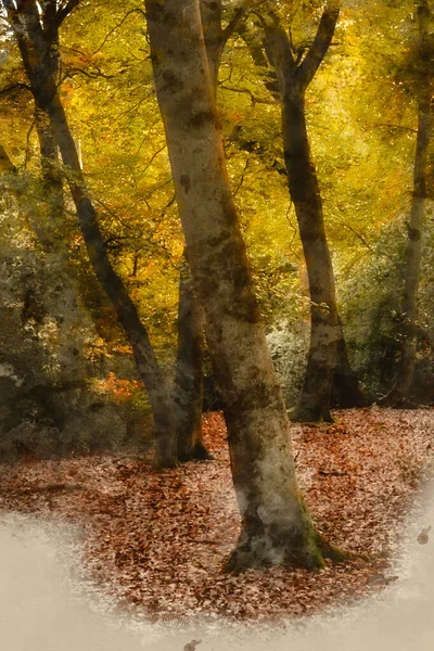 Ψηφιακή Ακουαρέλα Ζωγραφική Του Όμορφου Φθινοπώρου Πολύχρωμο Ζωντανό Τοπίο Δάσος — Φωτογραφία Αρχείου