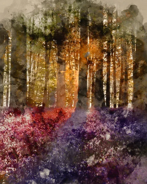 Aquarelle Numérique Image Paysage Epic Spring Fleurs Bluebell Vibrantes Dans — Photo