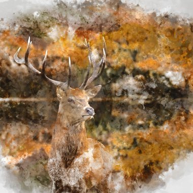 Kırmızı geyik geyiği Cervus Elaphus 'un muhteşem sonbahar manzarasının dijital suluboya tablosu arka planda canlı orman ve göl manzarası