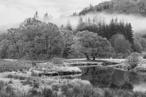 Černobílý Epický Podzimní Krajinný Obraz Řeky Brathay Lake District Výhledem — Stock fotografie