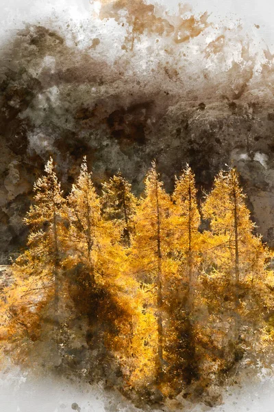 Pintura Aquarela Digital Outono Épico Paisagem Queda Larício Retroiluminado Vales — Fotografia de Stock