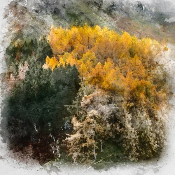 Digital Watercolor Painting Epic Landscape Image Autumn Fall Vibrant Pine — Stock Photo, Image