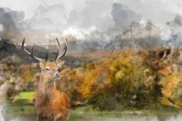 Epic Autumn Dijital Suluboya Tablosu Ormanın Sonbahar Manzarası Görkemli Kırmızı — Stok fotoğraf