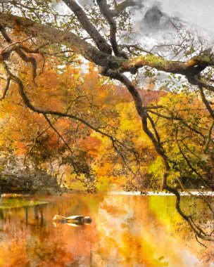 İngiliz kırsalında güneşin doğuşuyla birlikte gölün göz kamaştırıcı sonbahar manzarasının dijital suluboya resmi.