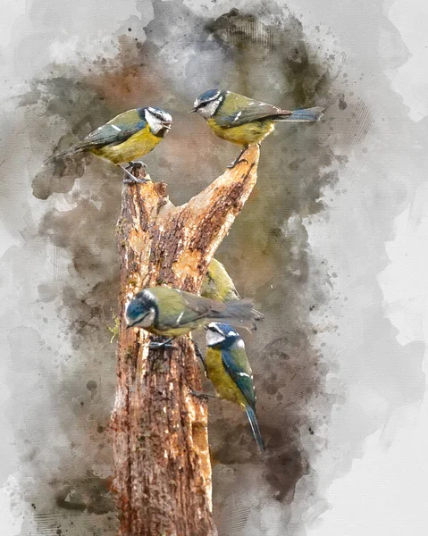 Digitally Created Watercolor Painting Beautiful Image Blue Tit Bird Cyanistes — Stock Fotó