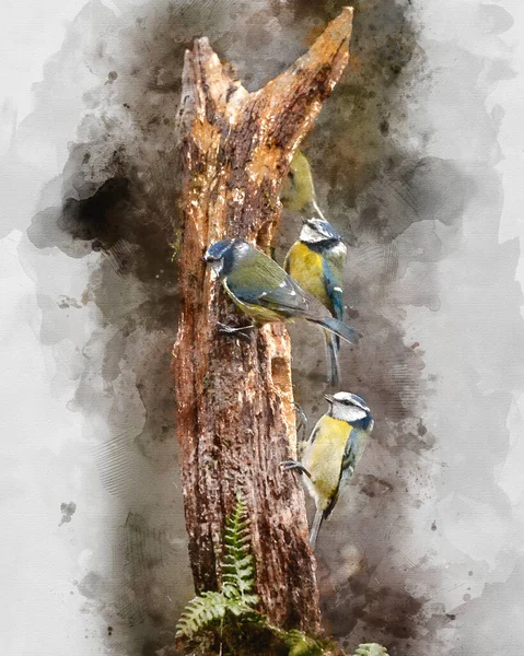 Digitally Created Watercolor Painting Beautiful Image Blue Tit Bird Cyanistes — Stok fotoğraf