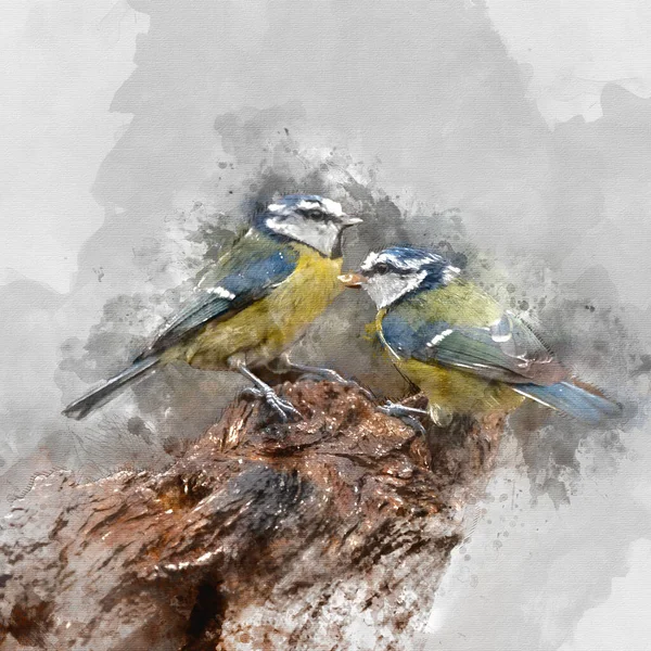 Digitally Created Watercolor Painting Beautiful Image Blue Tit Bird Cyanistes — Foto de Stock