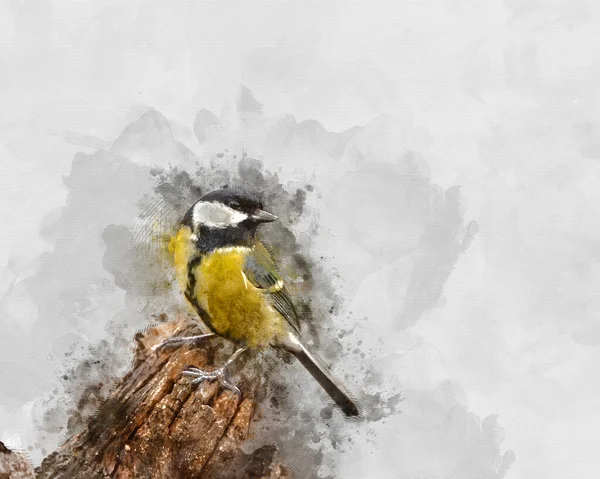 Digitally Created Watercolor Painting Beautiul Great Tit Bird Parus Major — Stok fotoğraf
