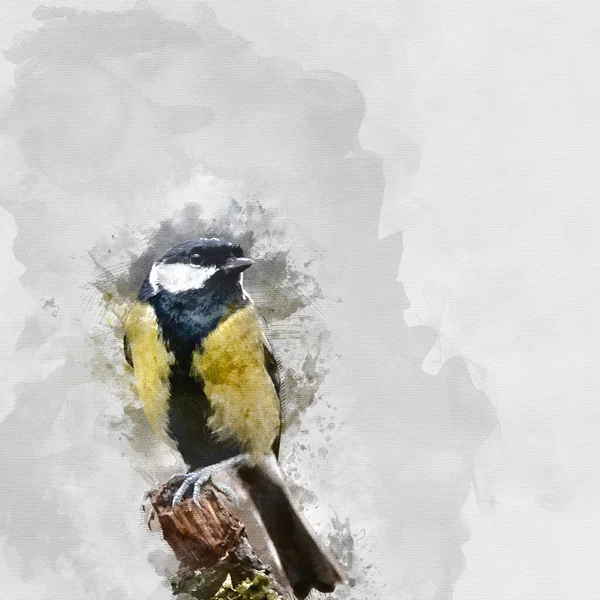Digitally Created Watercolor Painting Beautiul Great Tit Bird Parus Major — Foto Stock