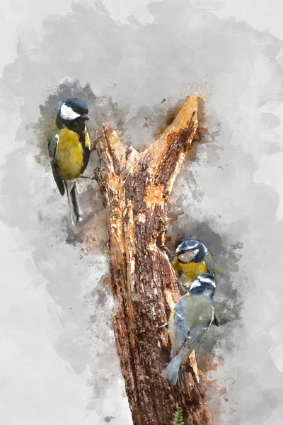 Digitally Created Watercolour Painting Beautiful Image Blue Tit Bird Cyanistes — Zdjęcie stockowe
