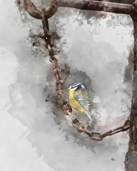 Digitally Created Watercolour Painting Beautiful Image Blue Tit Bird Cyanistes — Stok fotoğraf