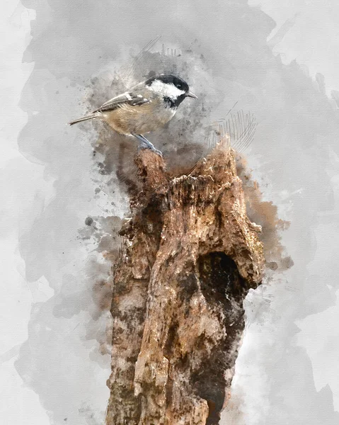 Digitally Created Watercolour Painting Beautiful Image Coal Tit Bird Periparus — ストック写真