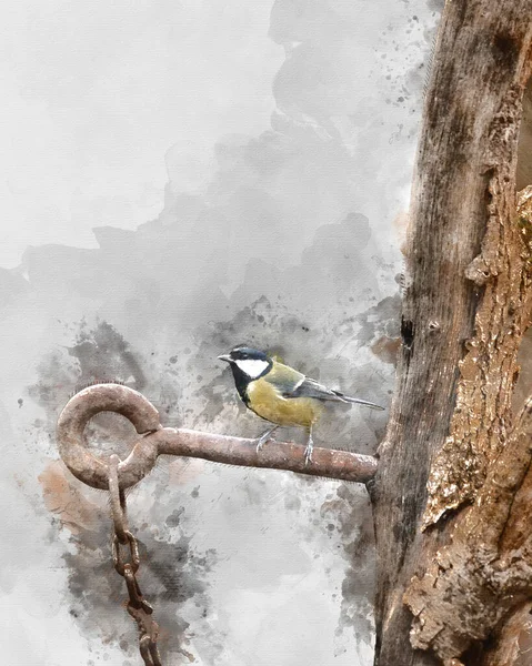Digitally Created Watercolour Painting Beautiul Great Tit Bird Parus Major —  Fotos de Stock