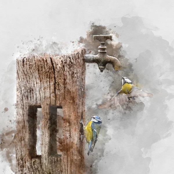Digitally Created Watercolour Painting Beautiful Image Blue Tit Bird Cyanistes — Stok fotoğraf