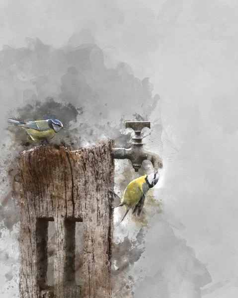 Digitally Created Watercolour Painting Beautiful Image Blue Tit Bird Cyanistes — Stockfoto