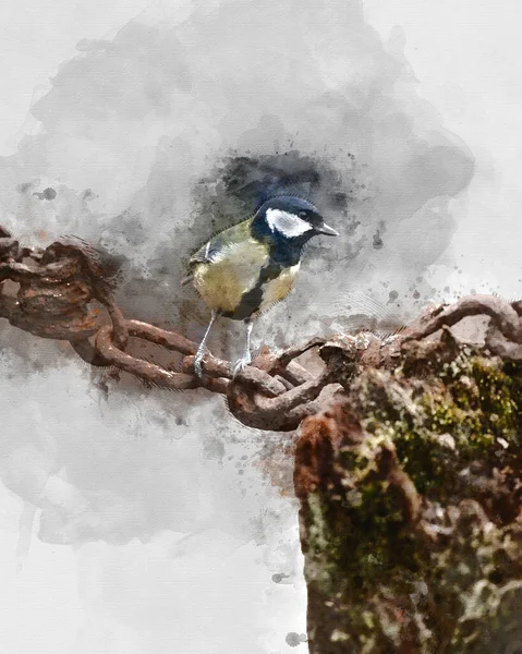 Digitally Created Watercolour Painting Beautiul Great Tit Bird Parus Major — Foto Stock