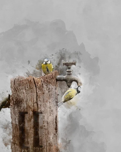 Digitally Created Watercolour Painting Beautiful Image Blue Tit Bird Cyanistes — 图库照片