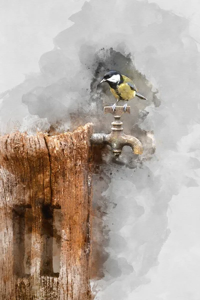 Digitally Created Watercolour Painting Beautiul Great Tit Bird Parus Major —  Fotos de Stock