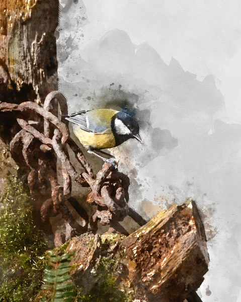 Digitally Created Watercolour Painting Beautiul Great Tit Bird Parus Major — ストック写真