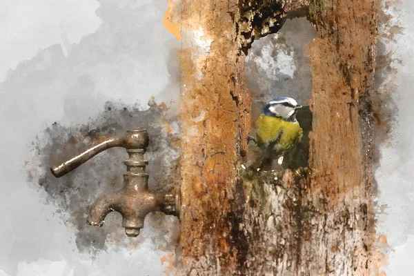 Digitally Generated Watercolor Painting Beautiful Image Blue Tit Bird Cyanistes — 图库照片