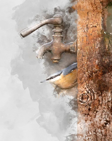 Digitalt Genererad Akvarellmålning Beautiful Nuthatch Trädgård Fågel Sitta Europaea Våren — Stockfoto