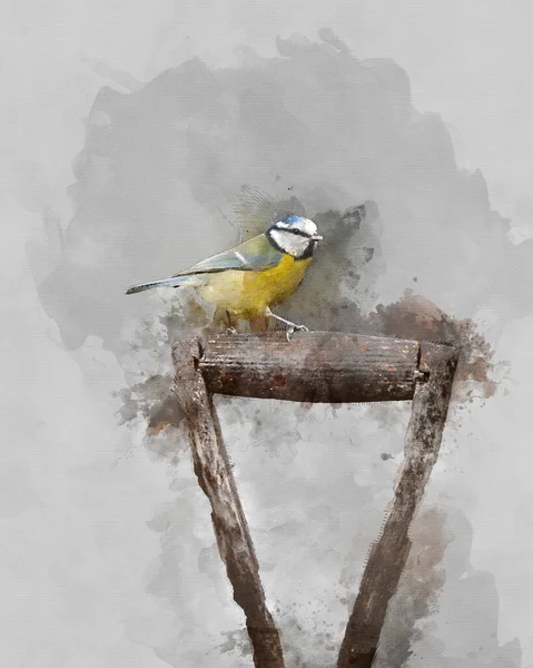 Digitally Generated Watercolor Painting Beautiful Image Blue Tit Bird Cyanistes — Stok fotoğraf