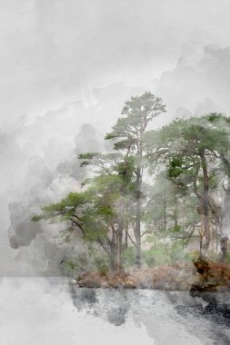 Güzel, huzurlu bir sonbahar ormanlık ve göl manzarasının dijital suluboya tablosu. Sabahın erken saatlerinde sisli.