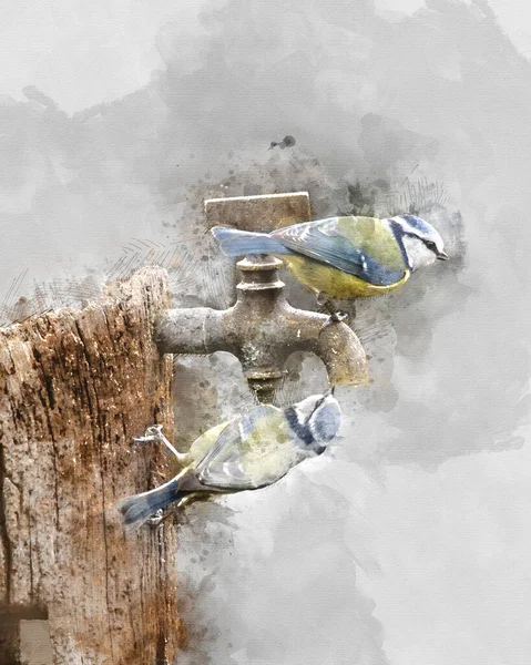 Digital Watercolour Painting Beautiful Image Blue Tit Bird Cyanistes Caeruleus — Foto de Stock