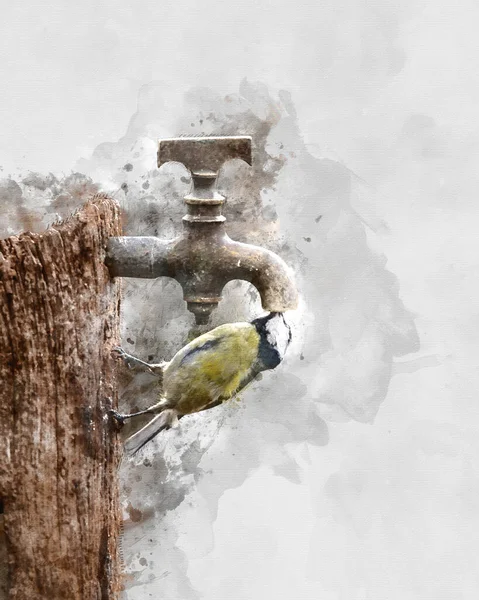 Digital Watercolour Painting Beautiul Great Tit Bird Parus Major Post — Stockfoto