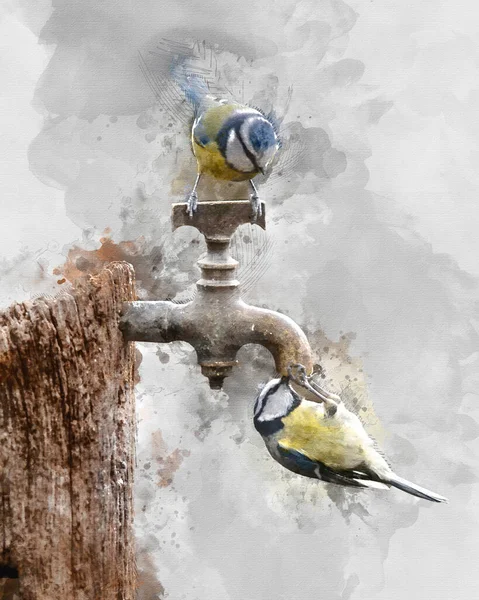 Digital Watercolour Painting Beautiful Image Blue Tit Bird Cyanistes Caeruleus — Stock Fotó