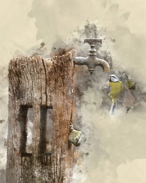 Digital Watercolour Painting Beautiful Image Blue Tit Bird Cyanistes Caeruleus —  Fotos de Stock