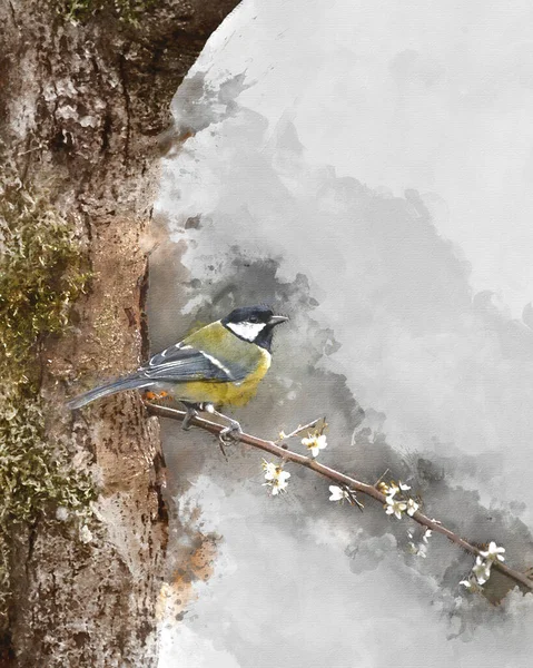 Digital Watercolor Painting Beautiul Great Tit Bird Parus Major Branch — Stok fotoğraf