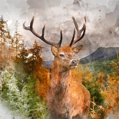 Epic Autumn 'un dijital suluboya tablosu. Ormanın sonbahar manzarası. Görkemli kırmızı geyik geyiği Cervus Elaphus ön planda.