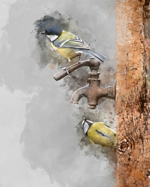 Digital Watercolor Painting Beautiful Image Blue Tit Bird Cyanistes Caeruleus — Stok fotoğraf