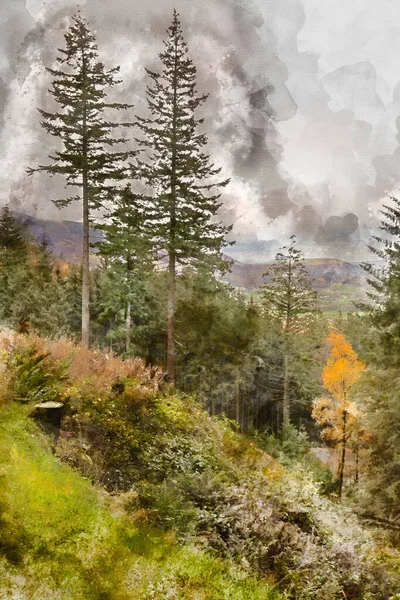 美しい秋のデジタル水彩画レイク地区のカラマツの木や松の森の風景 — ストック写真