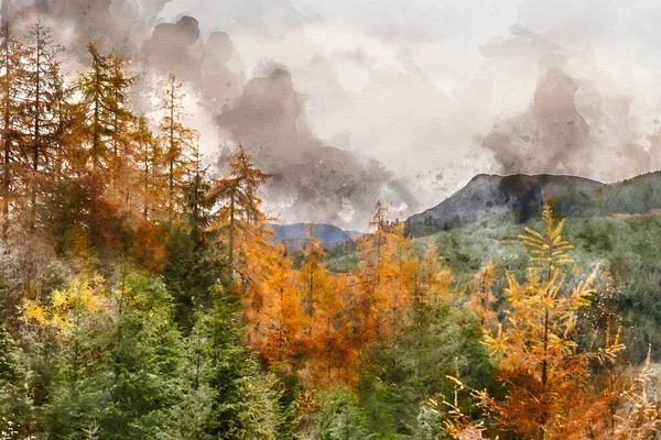 Digitální Akvarel Malba Krásný Podzim Podzim Krajina Modřín Borovice Lesa — Stock fotografie
