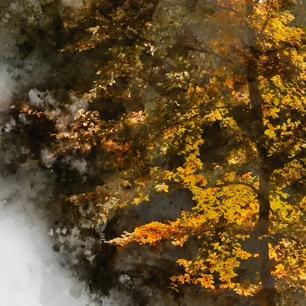 Ψηφιακή Ακουαρέλα Ζωγραφική Του Όμορφου Φθινοπώρου Πολύχρωμο Ζωντανό Τοπίο Δάσος — Φωτογραφία Αρχείου