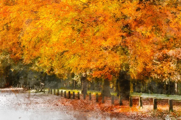 Digitale Aquarel Schilderij Van Mooie Herfst Herfst Herfst Kleurrijke Levendige — Stockfoto