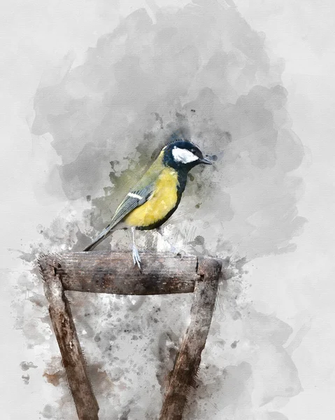 Digital Watercolour Painting Beautiul Great Tit Bird Parus Major Garden — Stockfoto