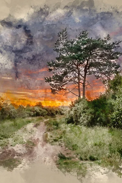 Digital Erstellte Aquarellmalerei Von Schönen Sommer Landschaft Bild Des Waldes — Stockfoto