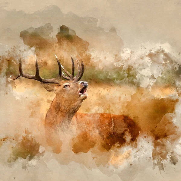 Digitaal Gemaakt Aquarel Schilderij Van Mooi Edelhert Hert Cervus Elaphus — Stockfoto