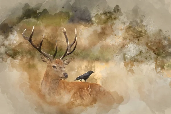 秋の紅葉の森の風景の中に美しい赤い鹿の鹿のステッグCervus Elaphusのデジタル水彩画を作成しました — ストック写真
