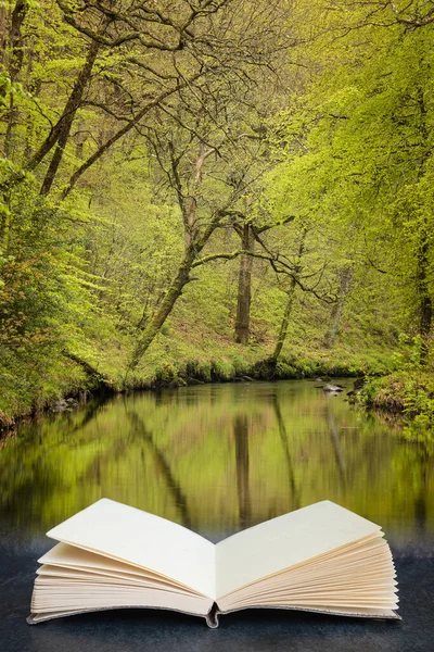 Krásná Jarní Krajina Obraz Řeky Teign Tekoucí Svěží Zelený Les — Stock fotografie