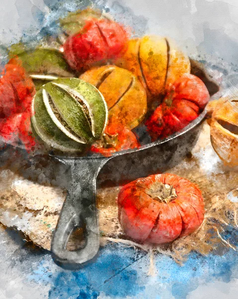 Pittura Digitale Acquerello Bellissimo Ritratto Alimentare Frutta Secca Stagione Wnter — Foto Stock