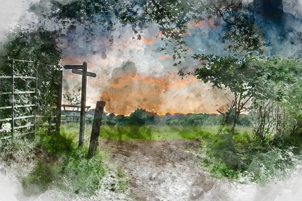 Digital Akvarell Målning Vackra Engelska Landsbygden Sommar Solnedgång Landskap Bild — Stockfoto