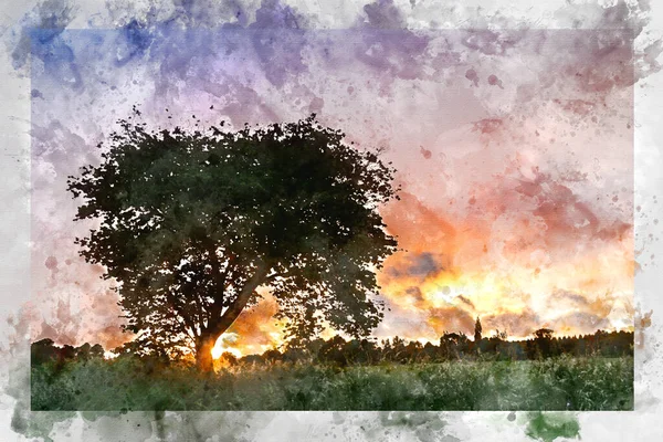 フィールド上の木のシルエットを通して見る見事なカラフルな夏の夕日のデジタル水彩画 — ストック写真